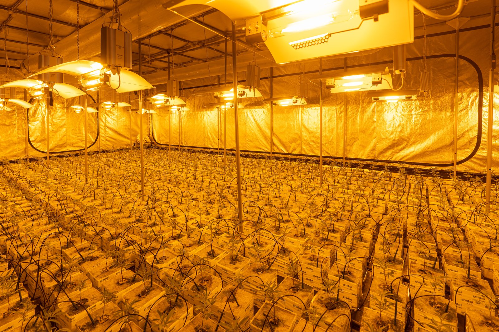 Smart Farm