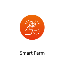 Icon 2